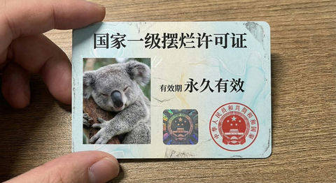 国家一级摆烂许可证 效果预览