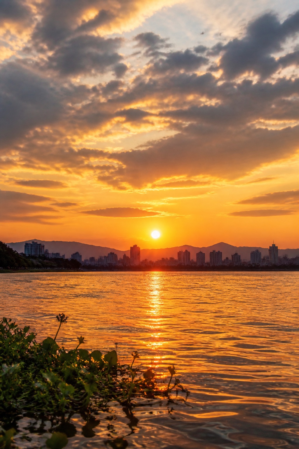 夕阳下的江边风景 效果预览