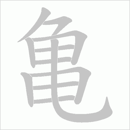 亀的笔顺动画演示