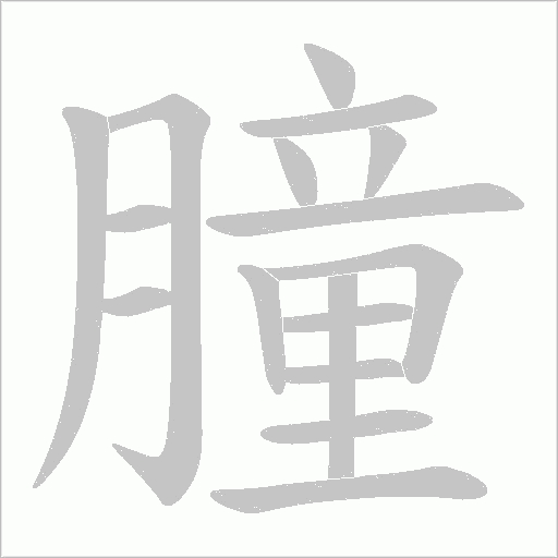 朣的笔顺动画演示