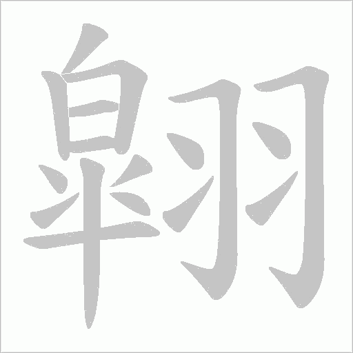 翶的笔顺动画演示