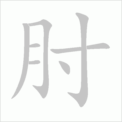 肘的笔顺动画演示