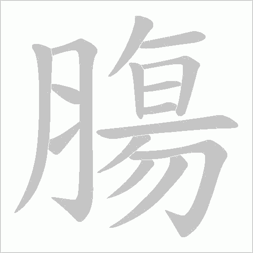 膓的笔顺动画演示