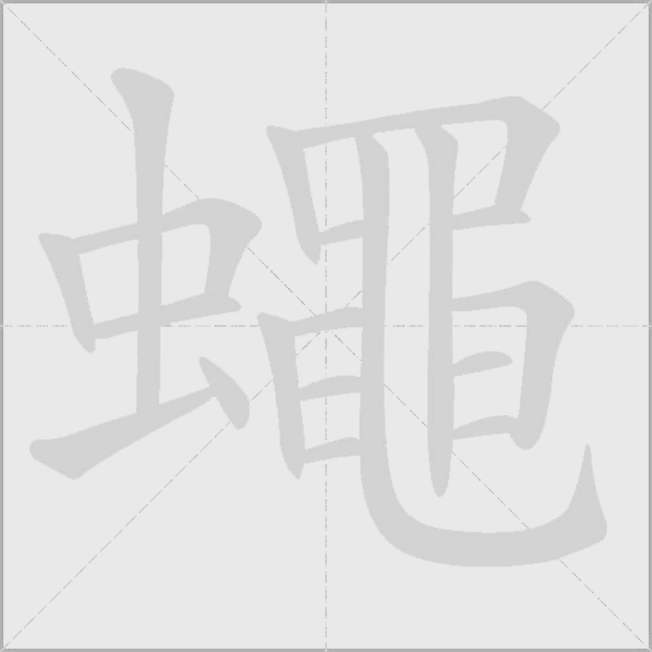 蠅的笔顺动画演示