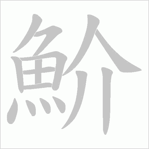 魪的笔顺动画演示