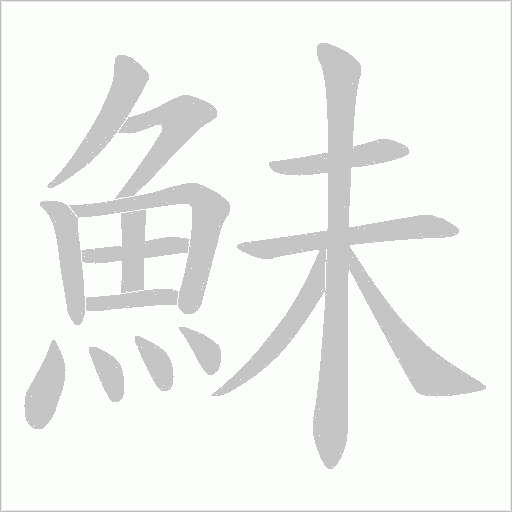 鮇的笔顺动画演示