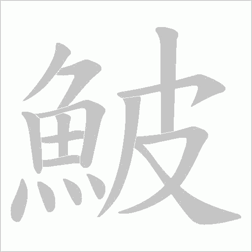 鮍的笔顺动画演示