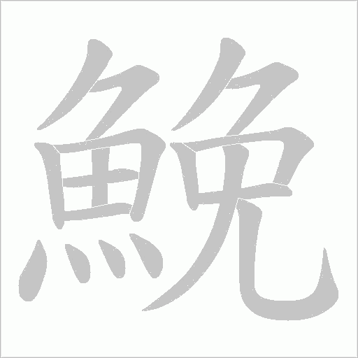 鮸的笔顺动画演示