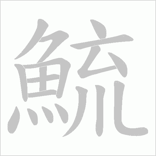鯍的笔顺动画演示