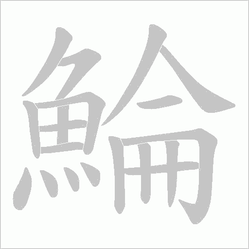 鯩的笔顺动画演示