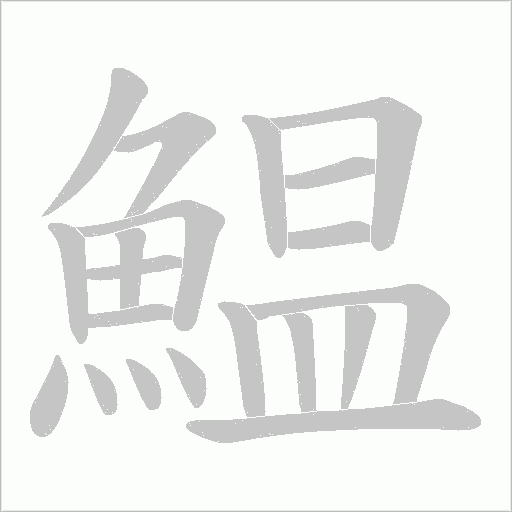 鰛的笔顺动画演示