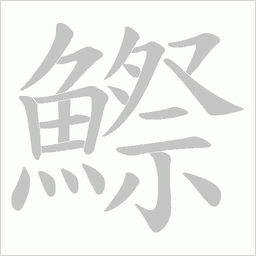 鰶的笔顺动画演示