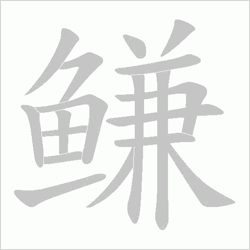 鳒的笔顺动画演示
