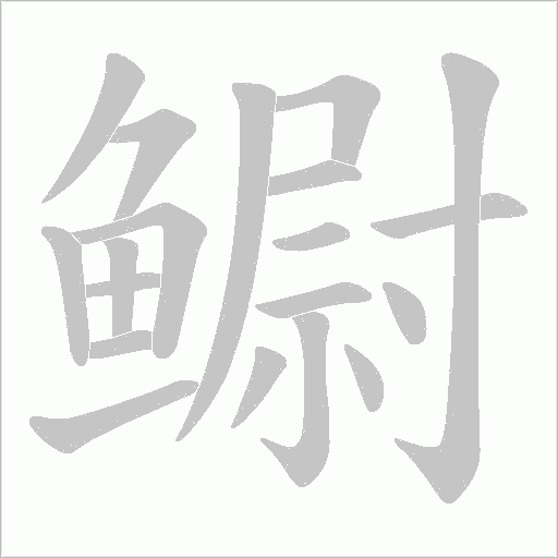 鳚的笔顺动画演示