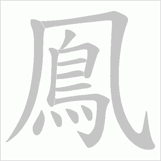 鳯的笔顺动画演示