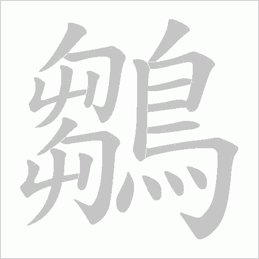 鶵的笔顺动画演示